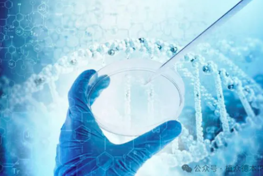 1768897763949425.png image.png